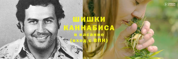 не бодяженный Магас