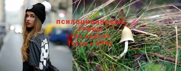 не бодяженный Магас