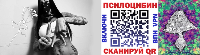 Псилоцибиновые грибы Magic Shrooms Новотроицк